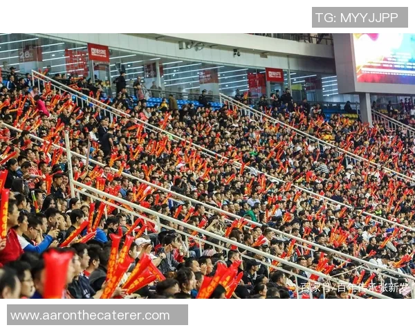 张新发2019年足球明星风采展现与成就回顾