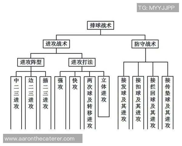 杭州排球队快攻战术解析与深度剖析排球竞技的魅力与挑战 杭州排球队快攻战术解析与深度剖析排球竞技的魅力与挑战