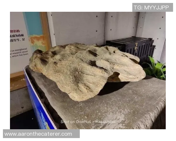 CS_GO纪实：记录JDG的成长故事