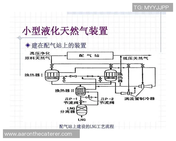 独家分析：LNG的技术对比_1