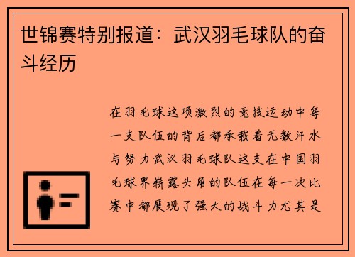 世锦赛特别报道：武汉羽毛球队的奋斗经历