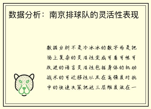 数据分析：南京排球队的灵活性表现