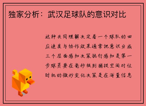独家分析：武汉足球队的意识对比